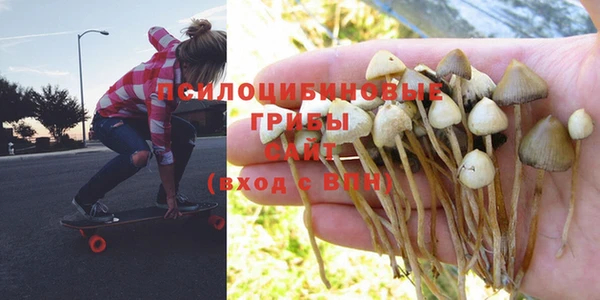 МДПВ Балахна