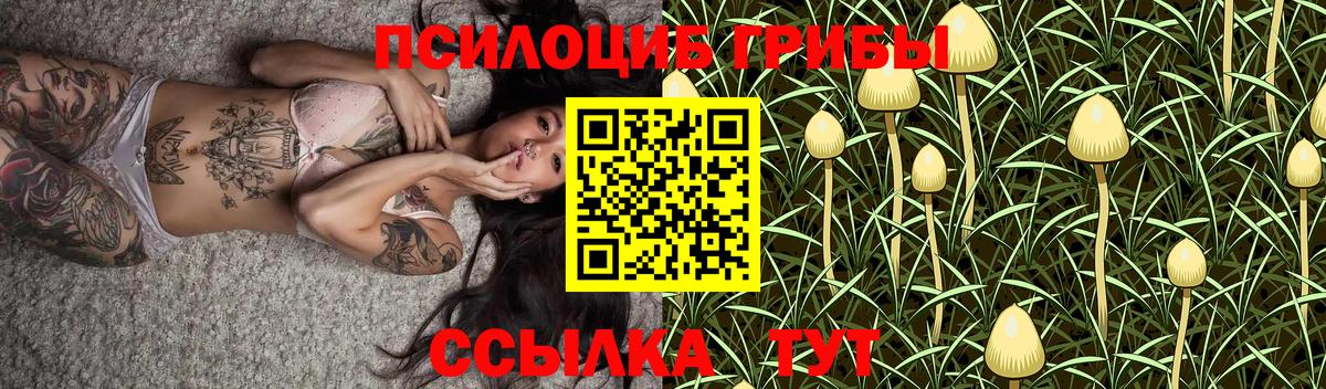 Галлюциногенные грибы Magic Shrooms Белово