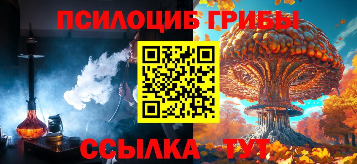 Галлюциногенные грибы MAGIC MUSHROOMS  Псилоцибиновые грибы Psilocybine cubensis  где купить наркотик  Белово 