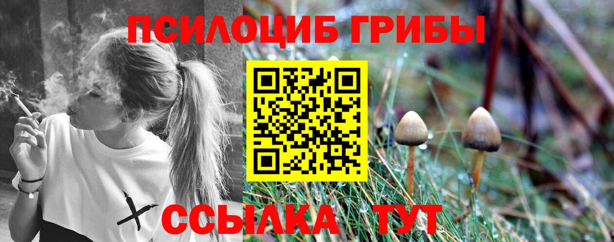 где продают   Галлюциногенные грибы прущие грибы  Вход с VPN  Белово 