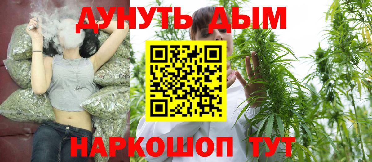 Бошки Шишки планчик Белово